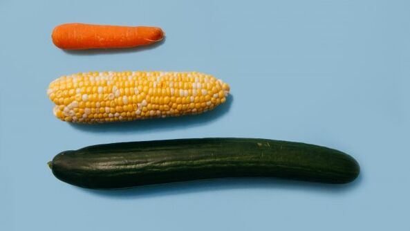 Diverse dimensioni di un membro maschile usando l'esempio delle verdure